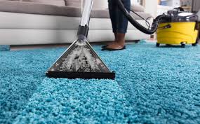 Prioritizing Hygiene: Professional Carpet Cleaning Solutions